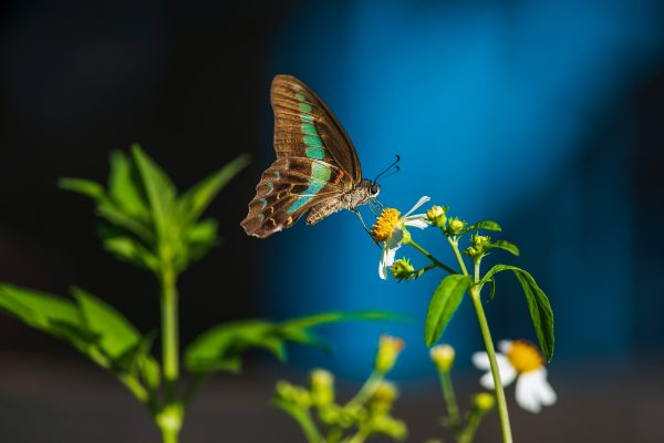 Photography for Lifestyle Blogs